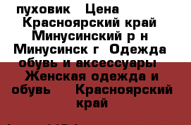 пуховик › Цена ­ 3 000 - Красноярский край, Минусинский р-н, Минусинск г. Одежда, обувь и аксессуары » Женская одежда и обувь   . Красноярский край